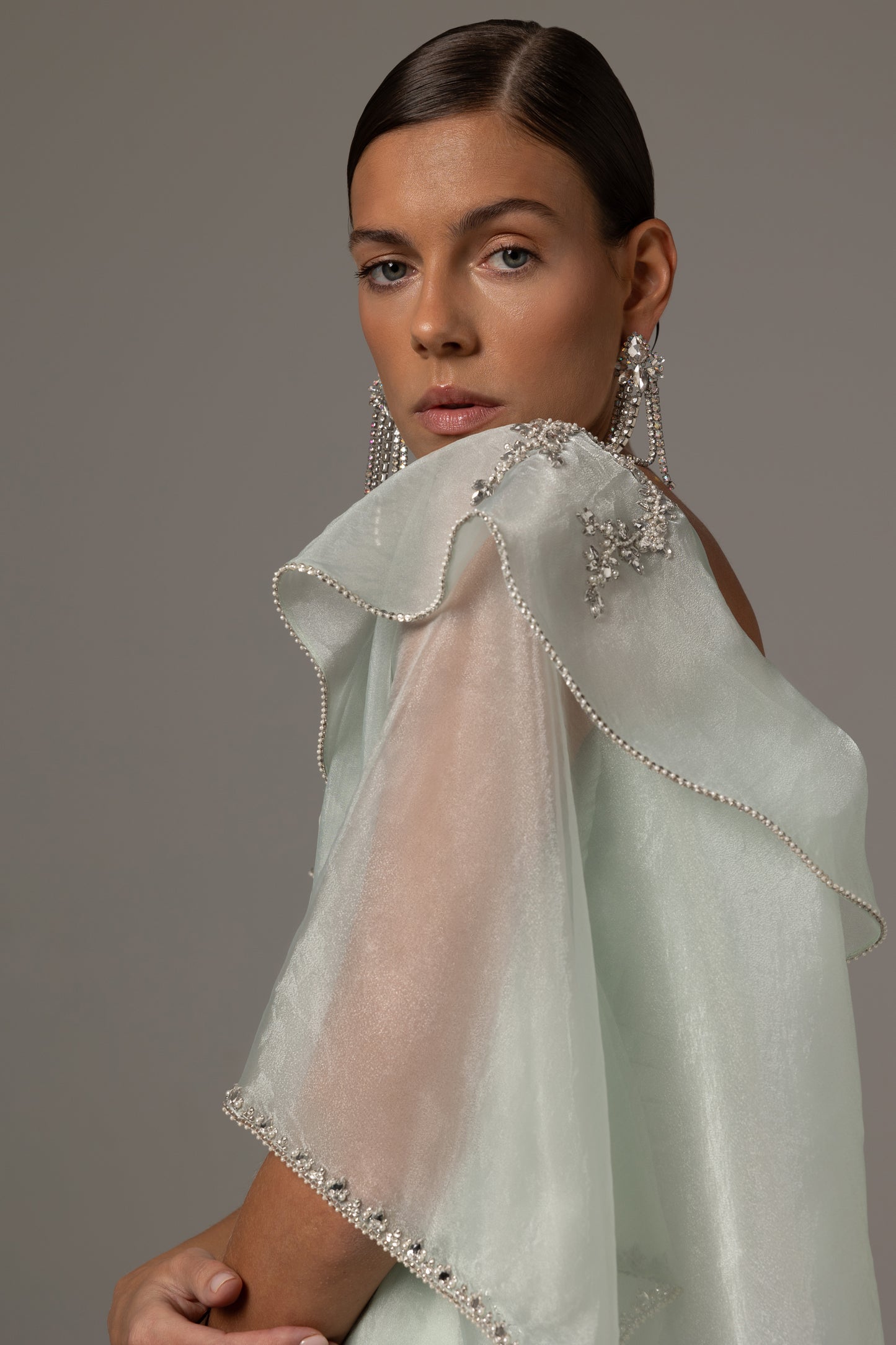 Pleated Bodice Embellished Sheer Sleeve Dress